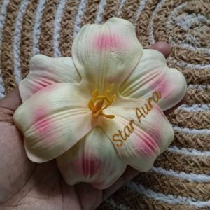 Alternative view of Tulip flower clip
