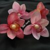 Cymbidium hair clip