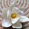 Himchapa flower clip