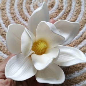 Himchapa flower clip