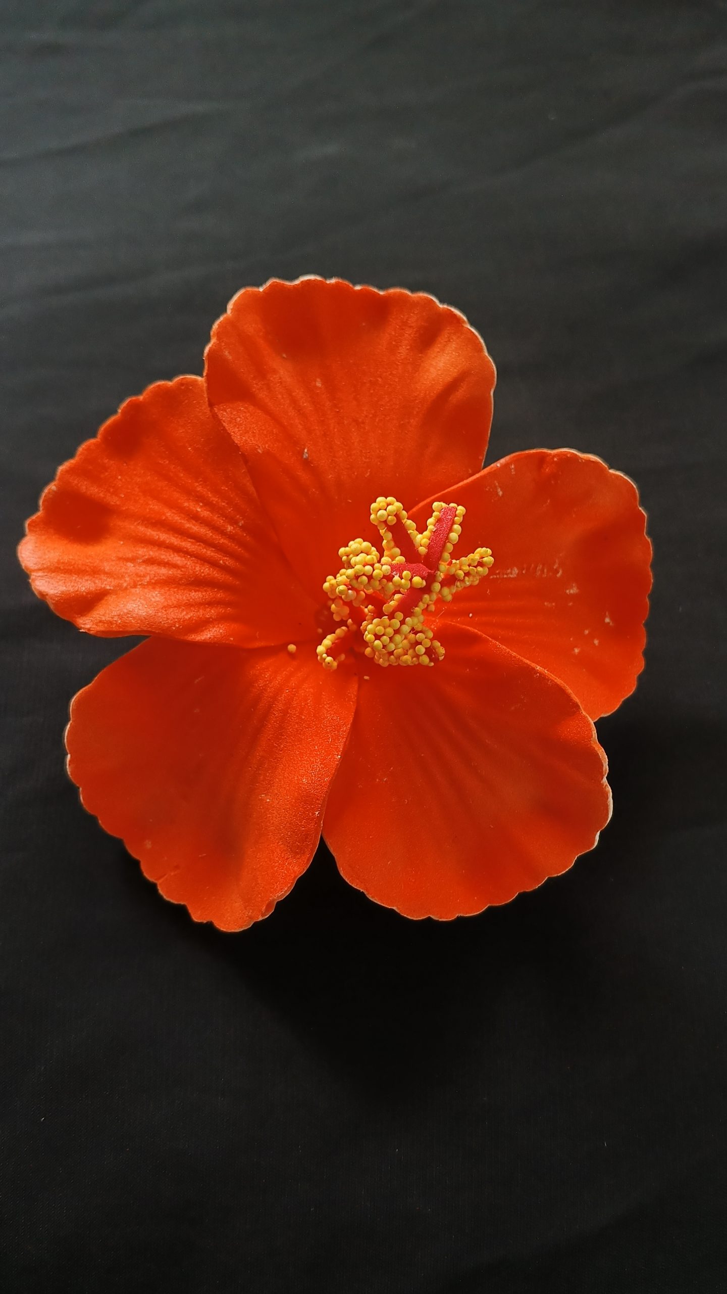 Hibiscus Flower Hair Clip - Image 12