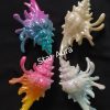 Sea shell claw clip