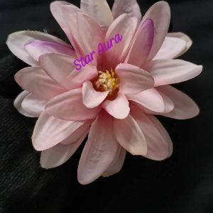 Water lily - Image 4