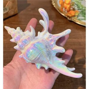 Sea shell claw clip - Image 4